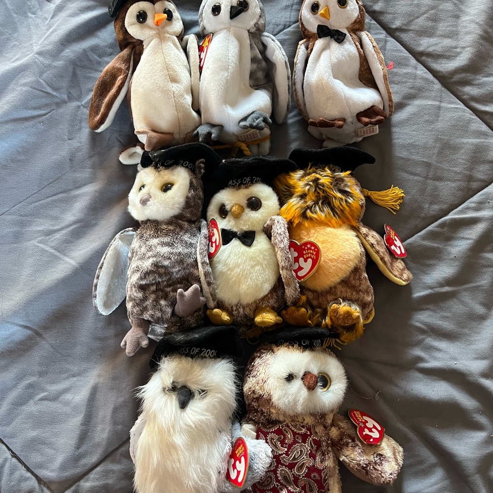 Lot of 8 collectible Ty Owls. 1998-2005 . All have hang tags but 1.
